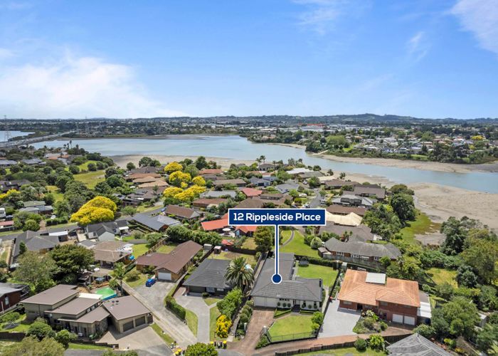  at 12 Rippleside Place, Pahurehure, Papakura