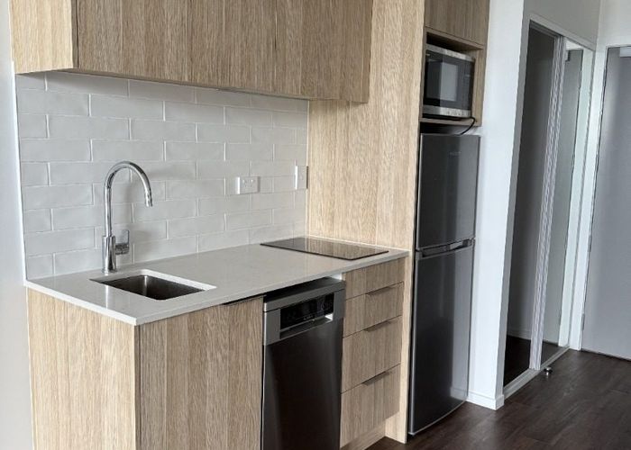  at 421/20 Park Avenue, Ellerslie, Auckland City, Auckland