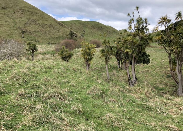  at 462 Whangaehu Road, Pōrangahau