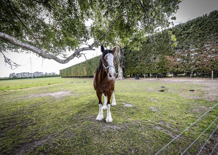  at 677 Woodstock Road, Burnt Hill, Waimakariri, Canterbury