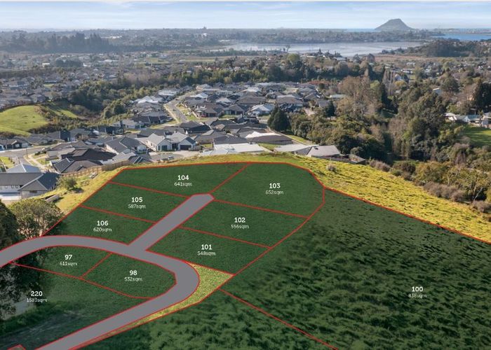  at 79 Carmen Way, Ohauiti, Tauranga, Bay Of Plenty