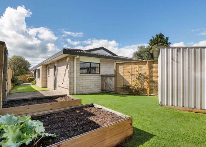  at 117 Matapihi Road, Mount Maunganui, Mount Maunganui