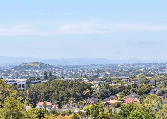  at 93 Coronation Road, Hillcrest, Auckland