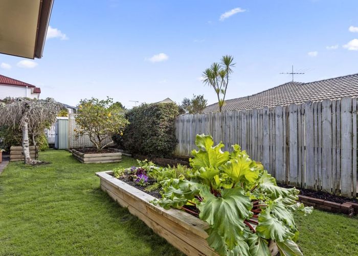  at 13 Red Shed Lane, Albany, Auckland