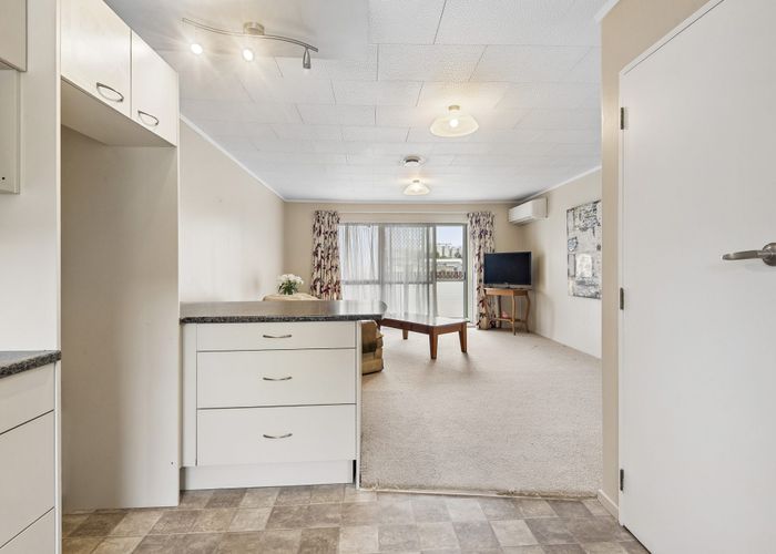  at 2/1148 Alexandra Street, Te Awamutu, Te Awamutu