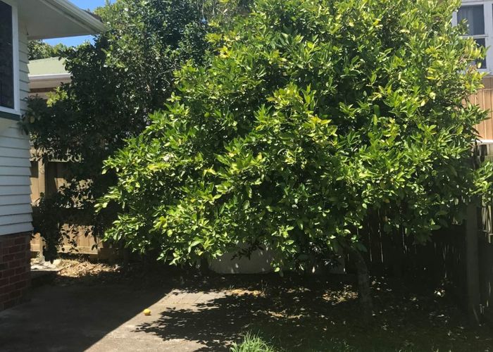  at 20 Daytona Road, Henderson, Auckland