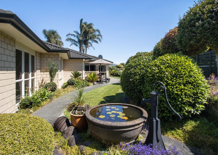  at 163 Park Road, Katikati, Katikati