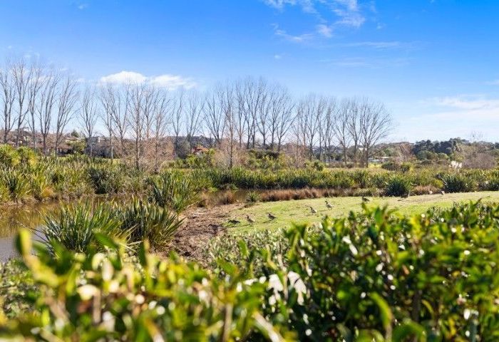  at 74 St Pauls Drive, Brookfield, Tauranga, Bay Of Plenty