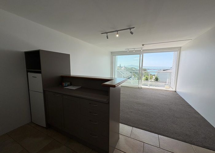  at 11/11 Freemont Street, Parnell, Auckland City, Auckland