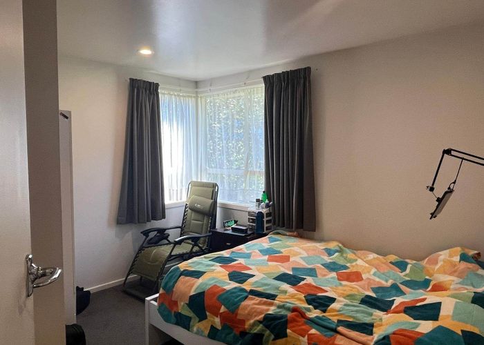  at 17 Skinner Road, Mount Wellington, Auckland City, Auckland