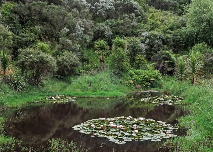  at 496 Wainui Road, Whakatane, Whakatane, Bay Of Plenty