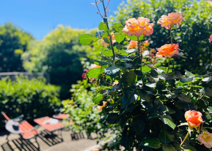  at 20 Freyberg Crescent, Waikanae Beach, Kapiti Coast, Wellington