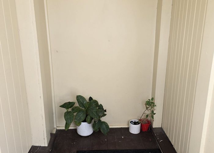  at 29 A and B McGiffert Street, City Centre, Palmerston North, Manawatu / Whanganui