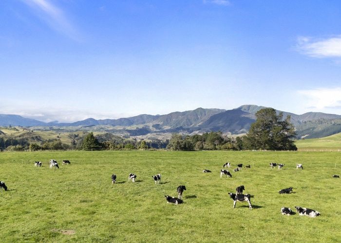  at 1 Takapari Road, Pohangina, Manawatu, Manawatu / Whanganui