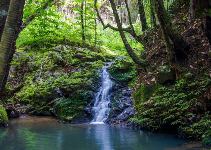 at 849 Owhiwa Road, Parua Bay, Whangarei, Northland