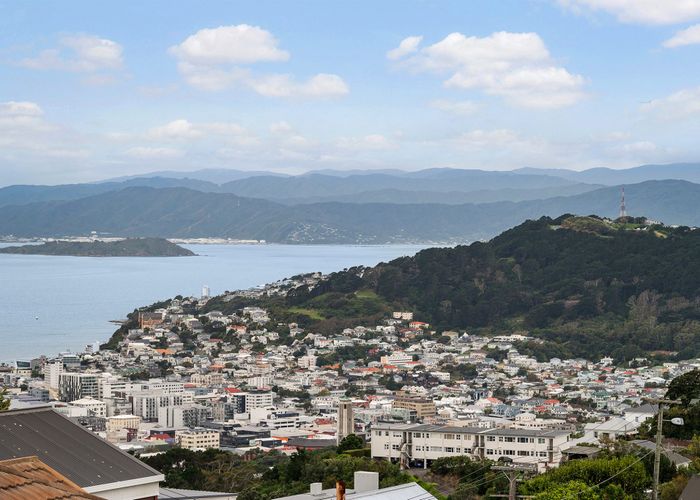  at 66 Mitchell Street, Brooklyn, Wellington, Wellington