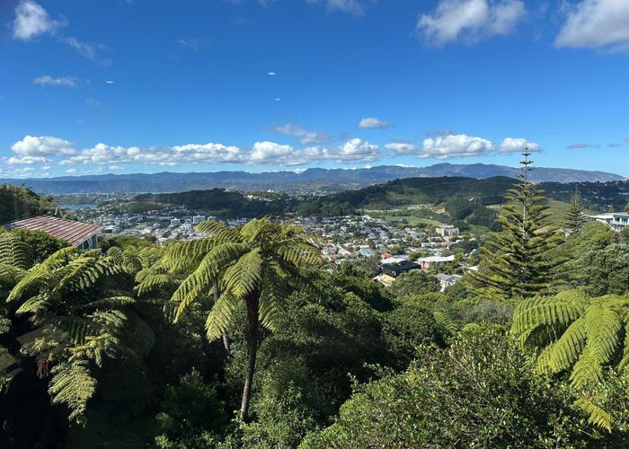  at 167 The Ridgeway, Mornington, Wellington