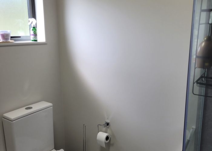  at 6/41B Whiteswan Road, Mount Roskill, Auckland City, Auckland
