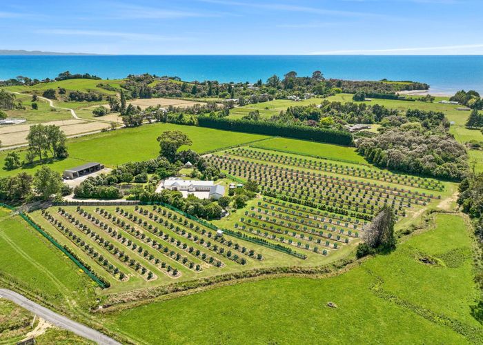 at 120 Patons Rock Road, Patons Rock, Tasman, Nelson / Tasman