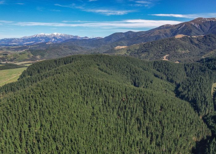  at 245 Sladdens Bush Road, Oxford, Waimakariri, Canterbury