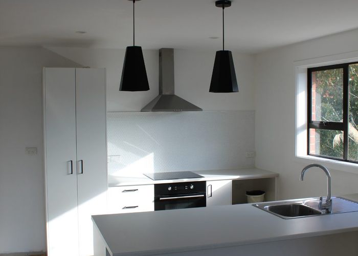  at 10 Riselaw Road, Calton Hill, Dunedin