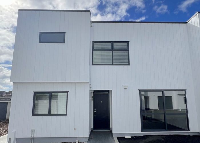  at 1/195 Massey Street, Frankton, Hamilton, Waikato