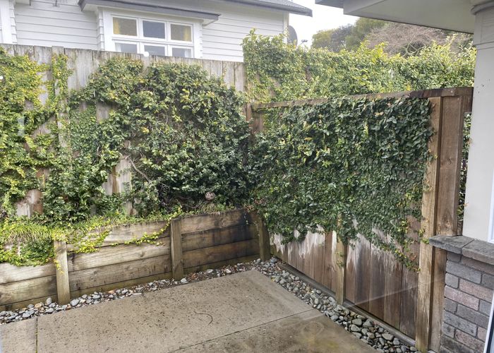  at 5/7 Stanley Street, Claudelands, Hamilton