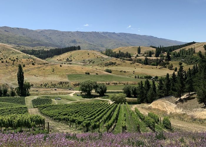  at 29 McFelin Road, Cromwell, Central Otago, Otago