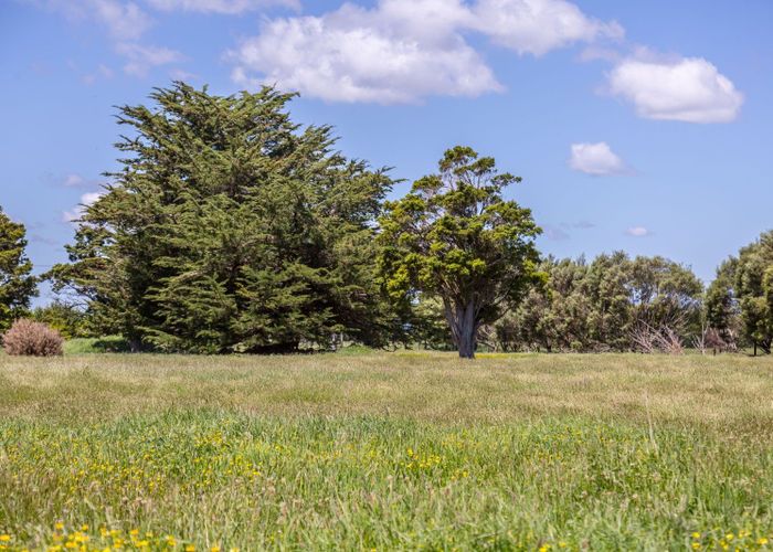  at 635 Chester Road, Carterton, Carterton, Wellington