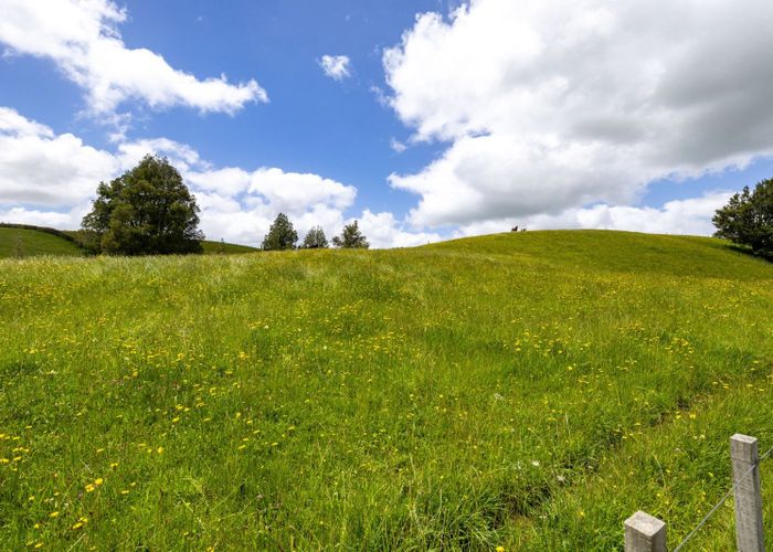  at 467A Te Mata Road, Raglan, Waikato, Waikato