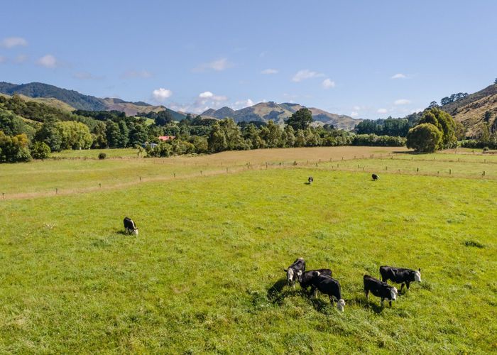  at 89 Hinau Gully Road, Carterton, Carterton, Wellington