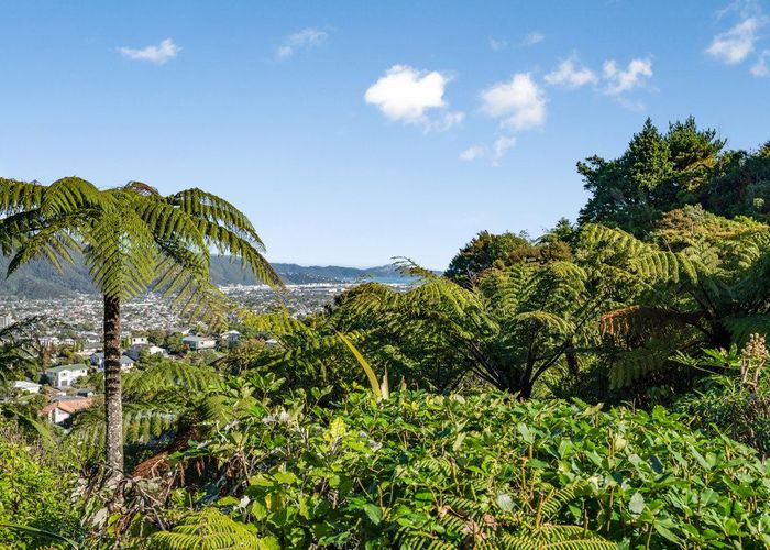  at 81 Park Road, Belmont, Lower Hutt, Wellington