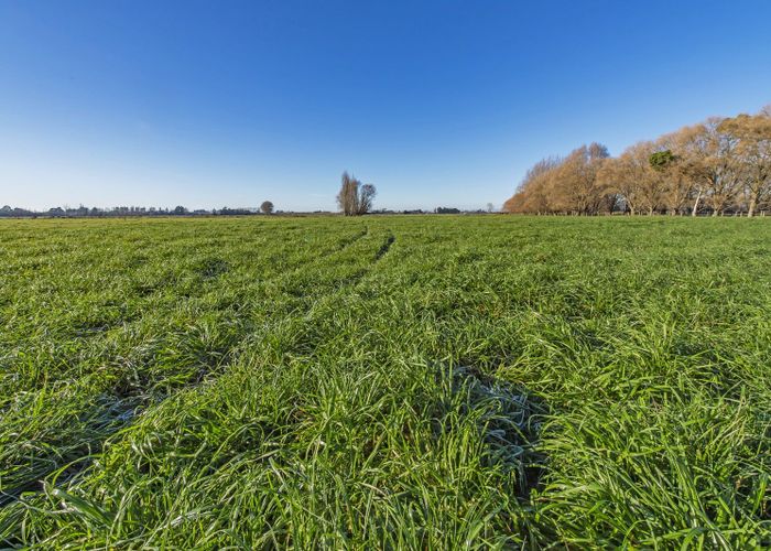  at 12 Bramleys Road, Flaxton, Kaiapoi