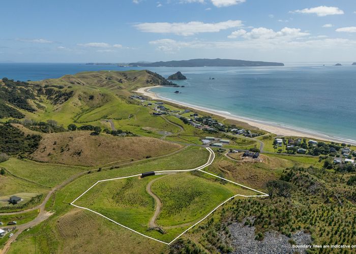  at 838 Black Jack Road, Opito, Thames-Coromandel, Waikato