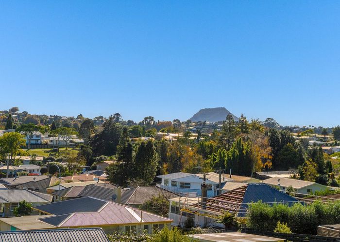  at 19 Bellevue Road, Brookfield, Tauranga, Bay Of Plenty