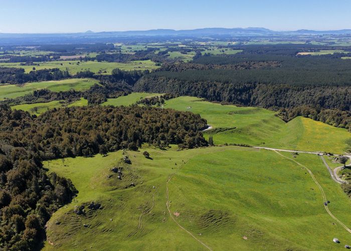  at 869 and 668 Mangatoi Road, Oropi, Western Bay Of Plenty, Bay Of Plenty