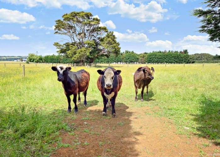  at 38 Kotuku Road, Waiuku