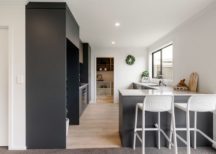 at 21 Guillaume Street, Chartwell, Hamilton