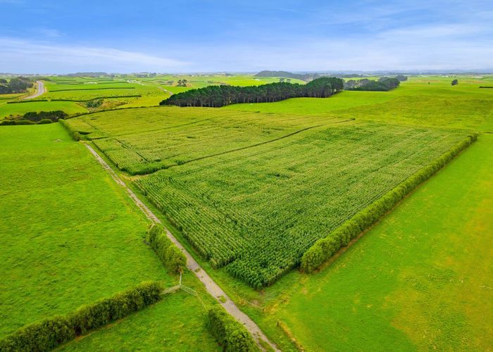  at 41a Ball Road, Patea, South Taranaki, Taranaki