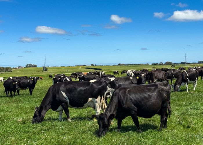  at 251 Rakahouka Hedgehope Road, Mabel Bush, Invercargill, Southland