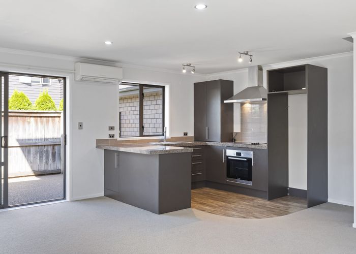  at 17  Stadium Lane, Whitiora, Hamilton, Waikato