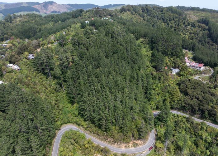  at 222-228 Blue Mountains Road, Blue Mountains, Upper Hutt, Wellington