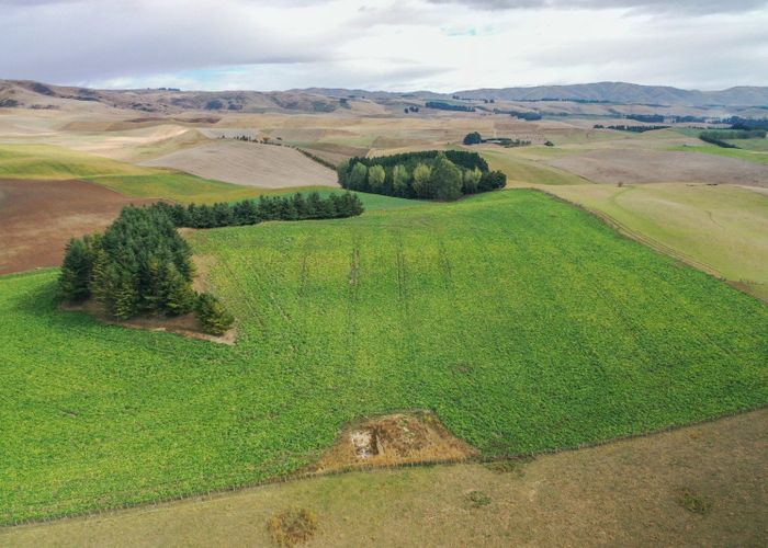  at 518 Elephant Hill Road, Waimate, Waimate, Canterbury