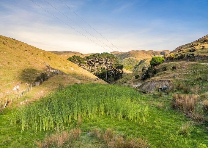  at 2/Lot 2 / 269 Grays Road, Pauatahanui, Porirua, Wellington