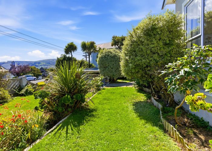  at 19 Beta Street, Belleknowes, Dunedin, Otago