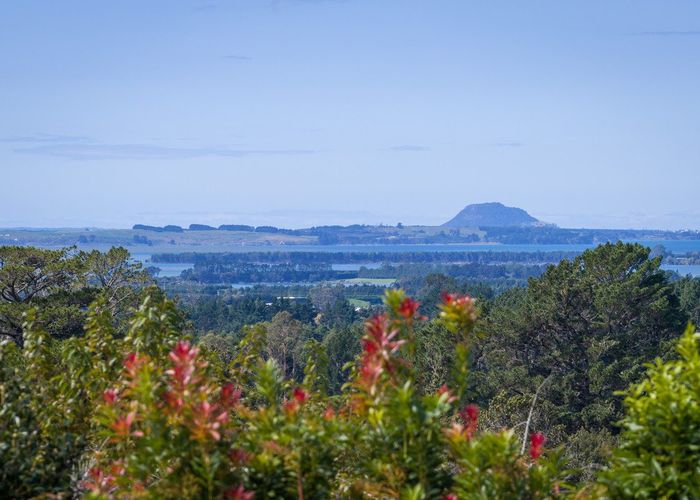  at 360A Busby Road, Katikati, Western Bay Of Plenty, Bay Of Plenty