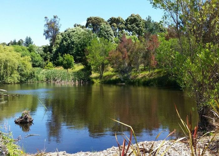  at 163 Awa Awa Road, Ruby Bay, Tasman, Nelson / Tasman