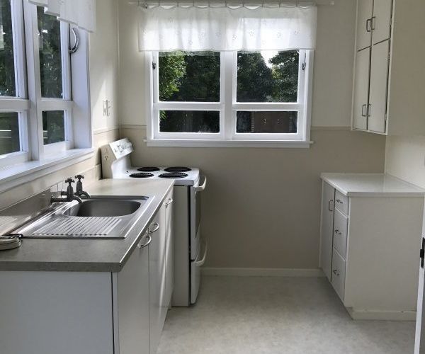  at 19 Fergusson Avenue, Sandringham, Auckland