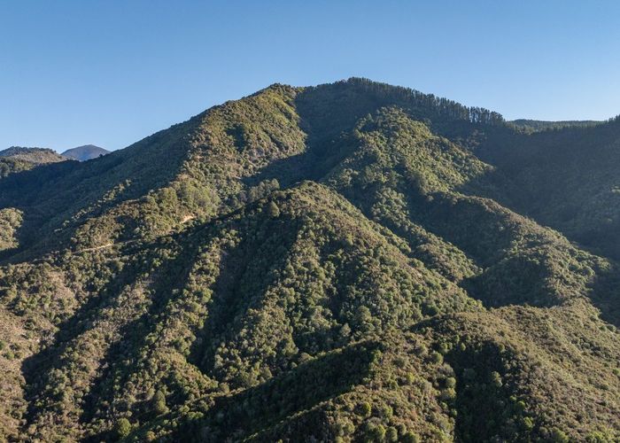  at 168 Graham Valley Road, Motueka, Tasman, Nelson / Tasman