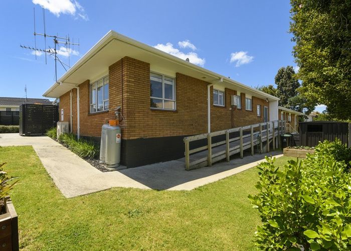  at 25A Cedar Grove, Matua, Tauranga, Bay Of Plenty
